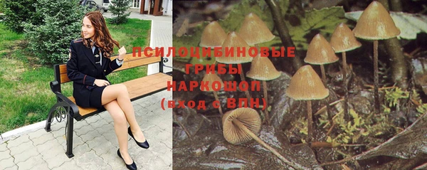 дурь Алексин