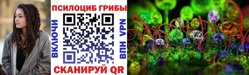 Псилоцибиновые грибы мицелий Лермонтов